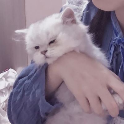 呆萌头像可爱情侣一男一女,放下尊严图片