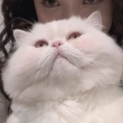 呆萌头像可爱情侣一男一女,放下尊严图片