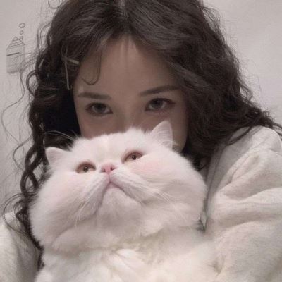 呆萌头像可爱情侣一男一女,放下尊严图片