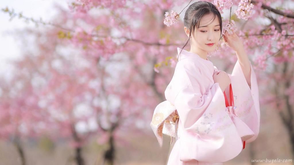 浪漫樱花季下的美女图片