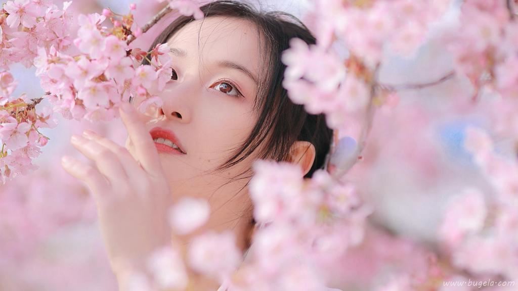 浪漫樱花季下的美女图片