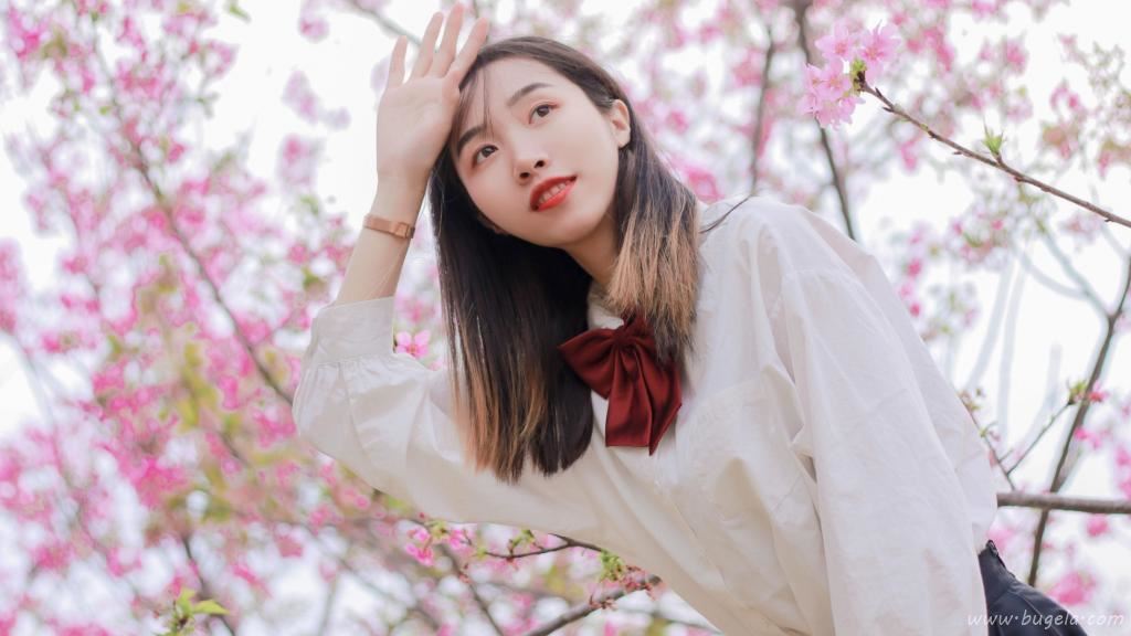 烂漫樱花下的美女图片
