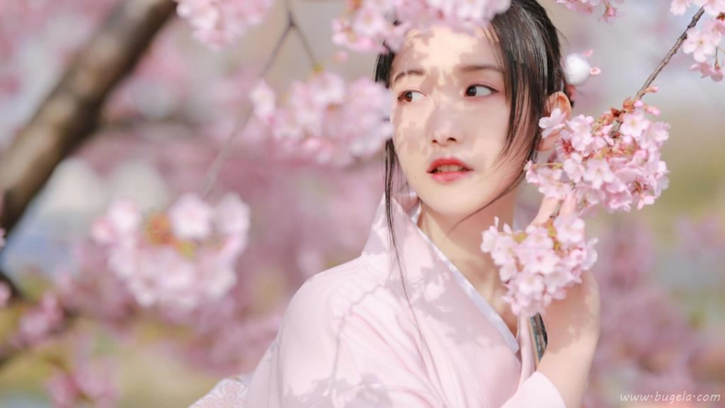 浪漫樱花季下的美女图片
