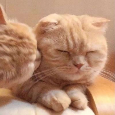 两个人分手后情侣头像不换 可可爱爱图片