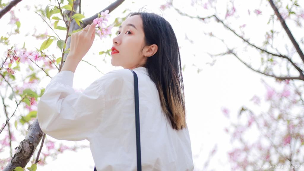 烂漫樱花下的美女图片