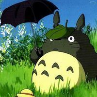 宠物龙猫萌图_动漫头像_爱扣扣网图片