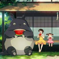 宠物龙猫萌图_动漫头像_爱扣扣网图片