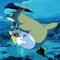 宠物龙猫萌图_动漫头像_爱扣扣网图片