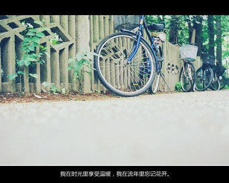 治愈系唯美lomo文字大全图片