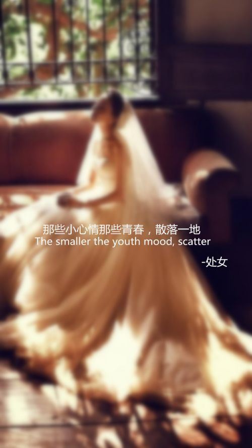 十二星座最美的婚纱精选图片