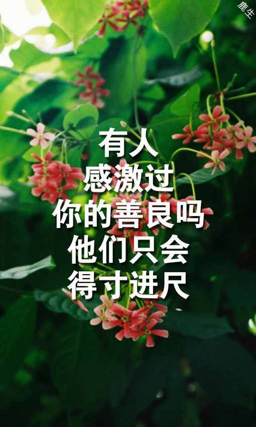 唯美爱情文字伤感图片