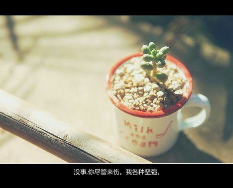 小清新文字高清精选图片