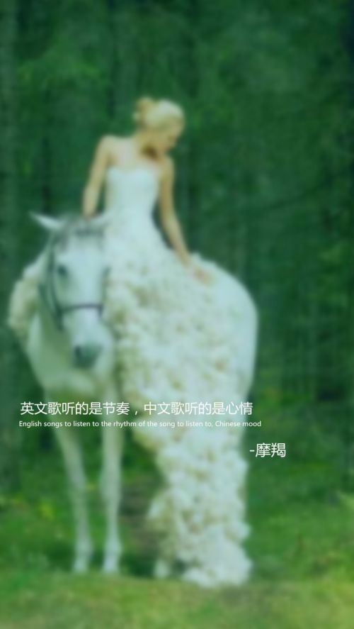十二星座婚纱系语文字大全图片