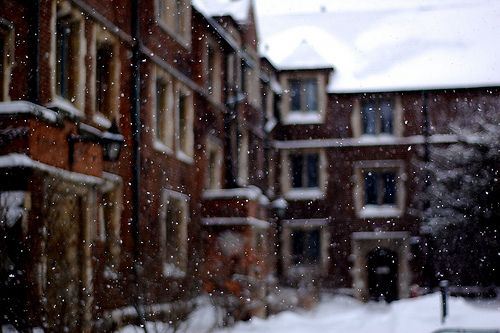 唯美好看的冬季雪景lomo意境图片