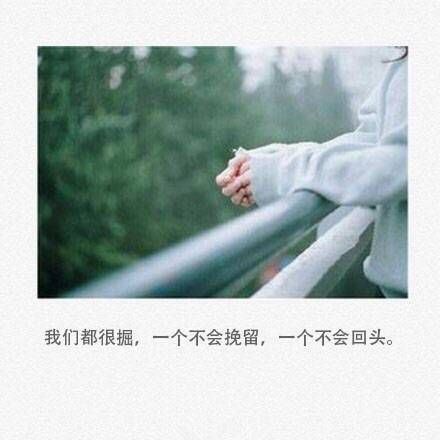 唯美伤感的文字大全图片