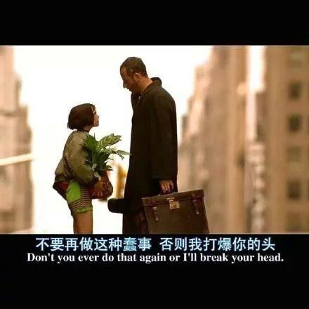 这个杀手不太冷欧美文字大全图片