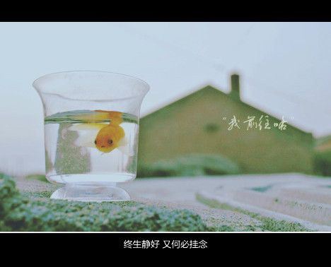 非主流意境qq皮肤文字图片