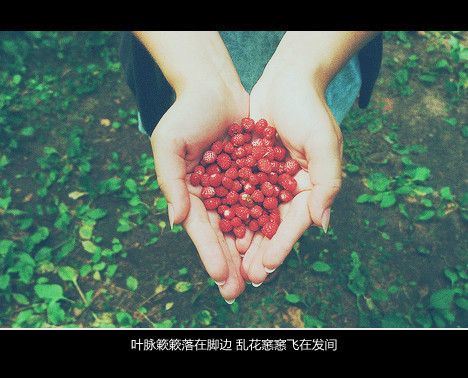 伤感文字大全心累图片