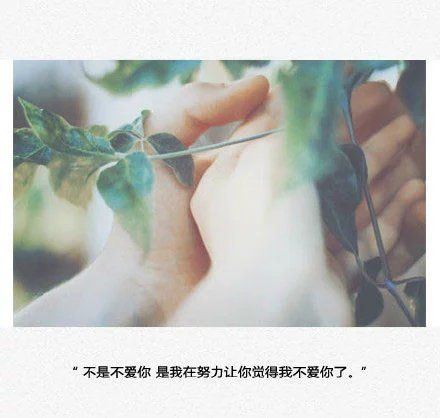 伤感小清新文字高清合辑图片