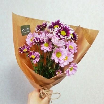 花香唯美小清新美图图片