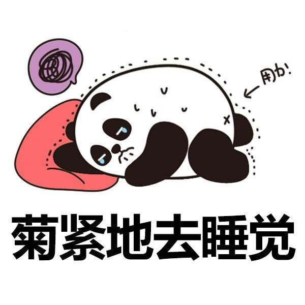 可爱的卡通熊猫合辑图片