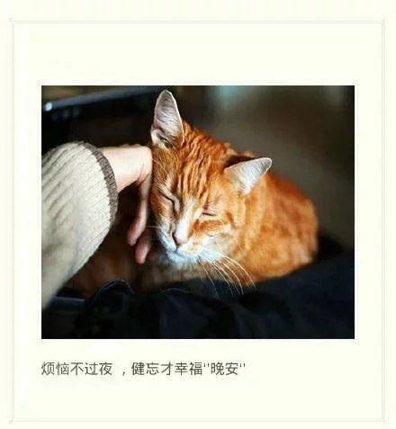 伤感小清新文字高清合辑图片