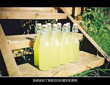 治愈系唯美lomo文字大全图片