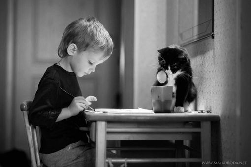 超级可爱小猫咪黑白大图图片