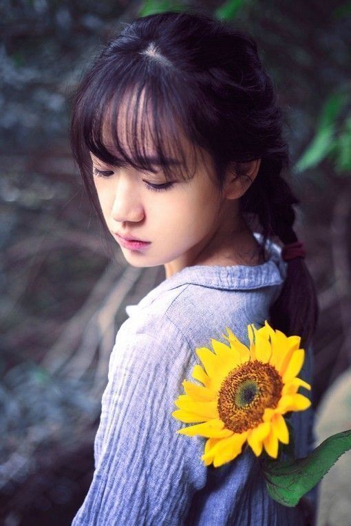 花朵治愈小清新大全图片