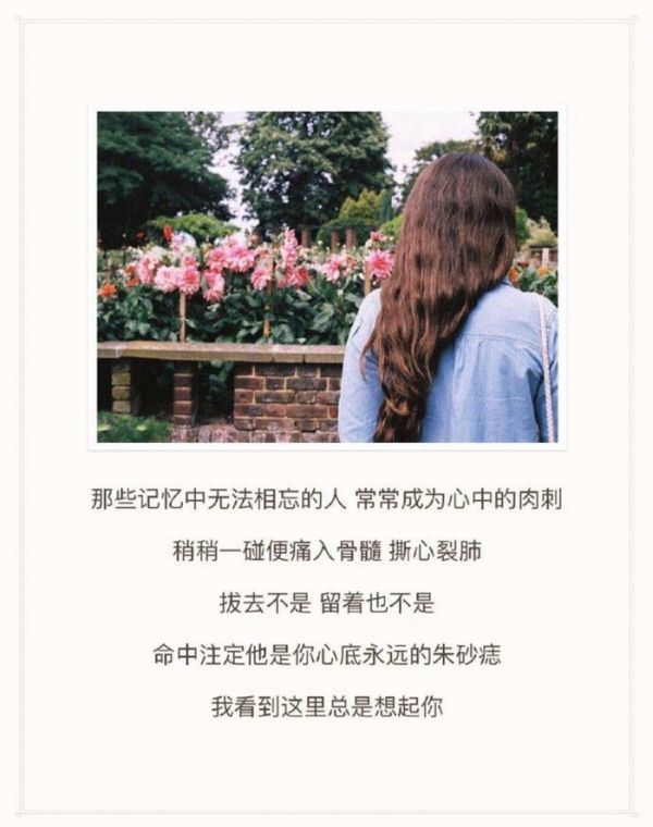唯美伤感文字合辑图片