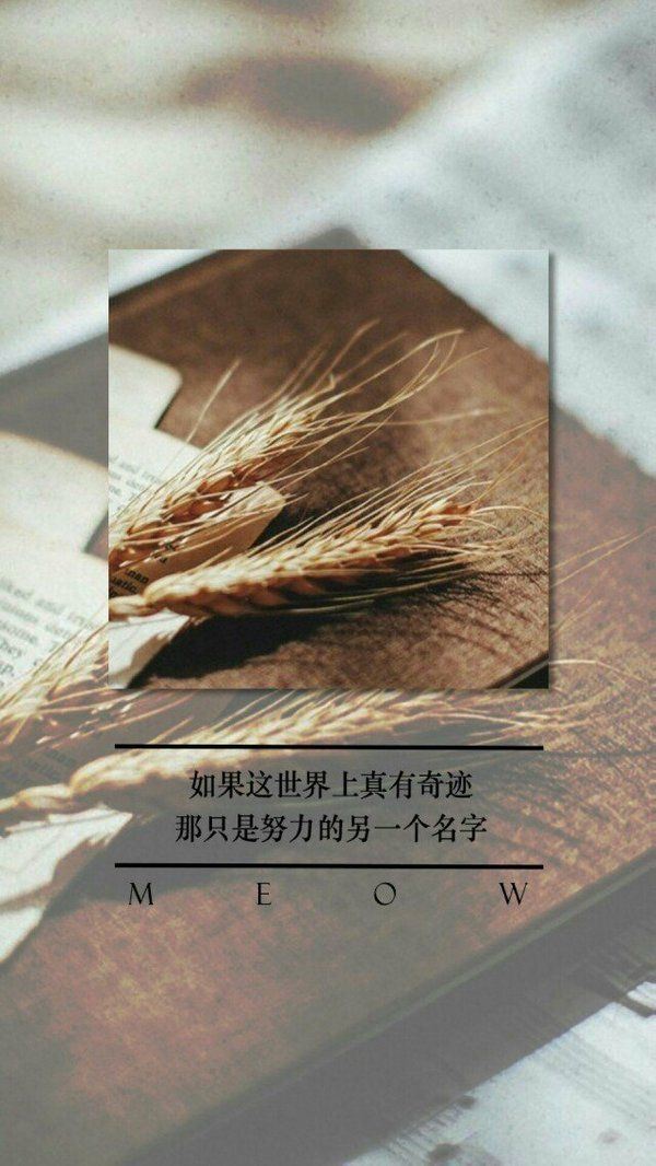 唯美意境文字高清图集图片