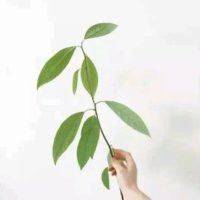 唯美小清新意境精选图片