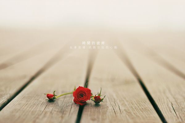 时间的彼岸非主流伤感大全带字图片