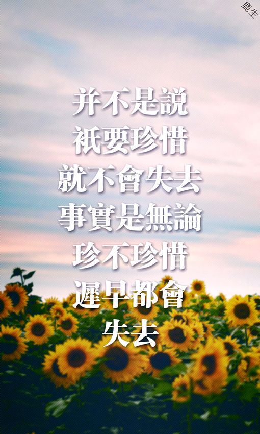 唯美爱情文字伤感图片