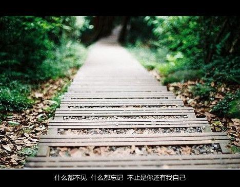 小清新文字高清精选图片