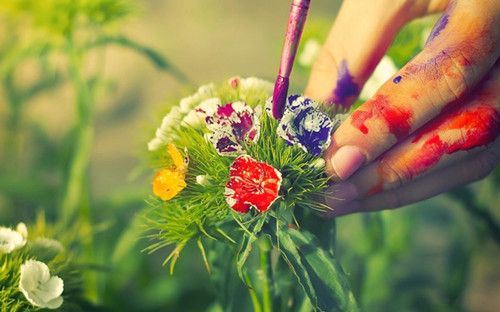 清新绚丽的小花大全图片