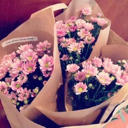 花香唯美小清新美图图片