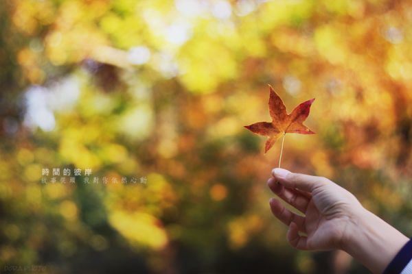 时间的彼岸非主流伤感大全带字图片