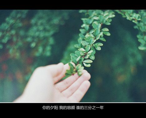 伤感文字大全心累图片