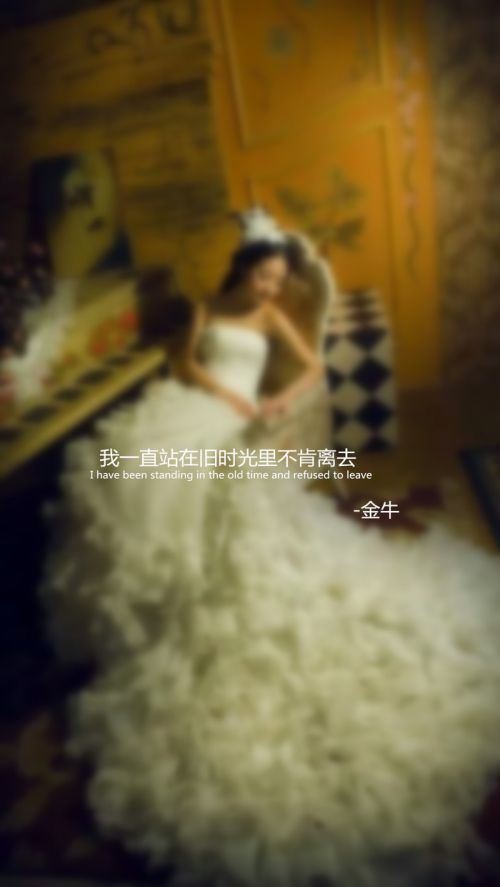 十二星座婚纱系语文字大全图片
