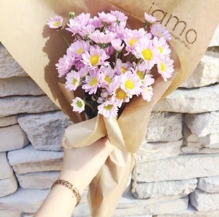 花香唯美小清新美图图片