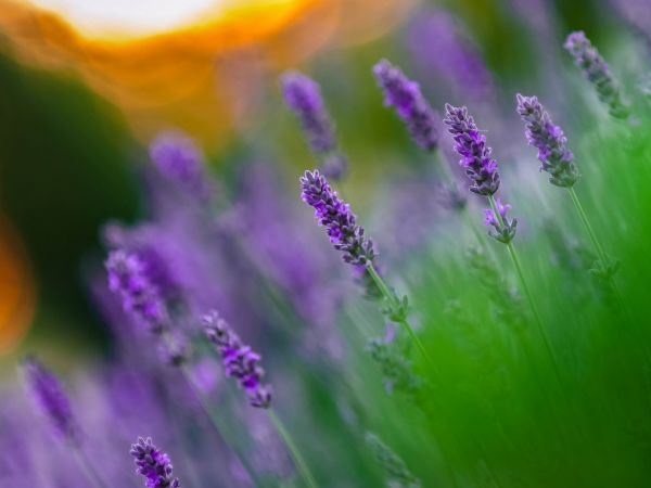 治愈系非主流小清新图片