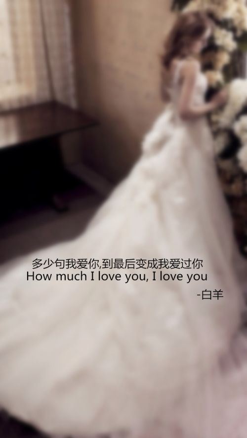 十二星座最美的婚纱精选图片