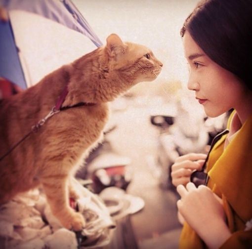 非主流美女唯美图片