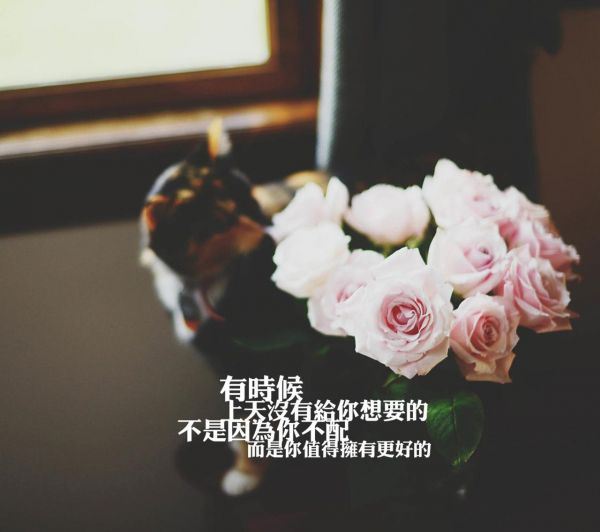 学会两个人快乐 一个人孤独图片