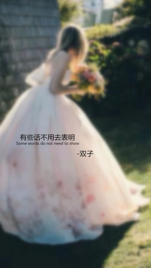 十二星座最美的婚纱精选图片