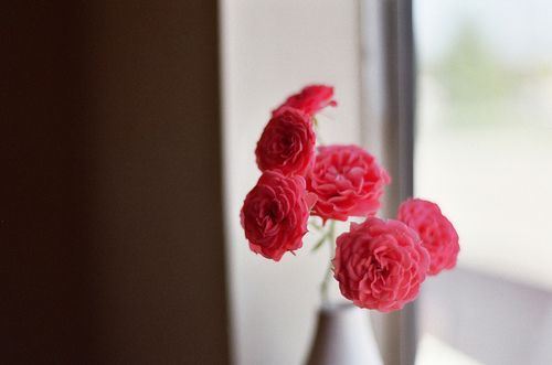 花儿治愈系非主流头像精选图片