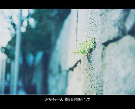 非主流意境qq皮肤文字图片