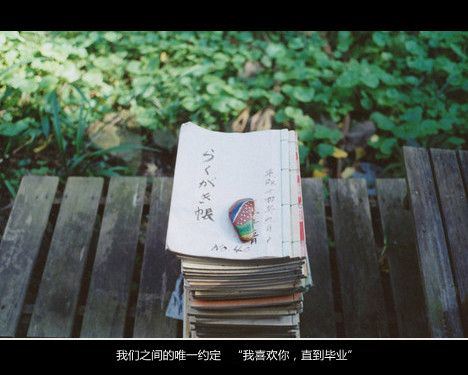 治愈系唯美lomo文字大全图片