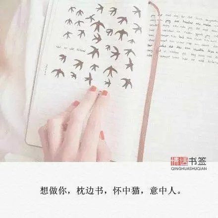 文艺小清新文字配图伤感图集图片